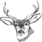 Stag